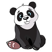 Tapety do detskej izby Panda 5391 - latexová